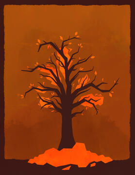 full-tree-cover